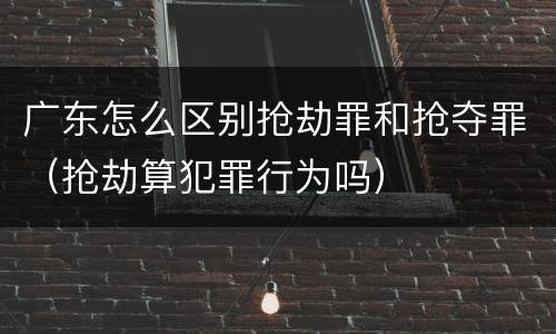 广东怎么区别抢劫罪和抢夺罪（抢劫算犯罪行为吗）