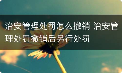 治安管理处罚怎么撤销 治安管理处罚撤销后另行处罚