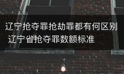 辽宁抢夺罪抢劫罪都有何区别 辽宁省抢夺罪数额标准