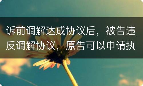诉前调解达成协议后，被告违反调解协议，原告可以申请执行吗