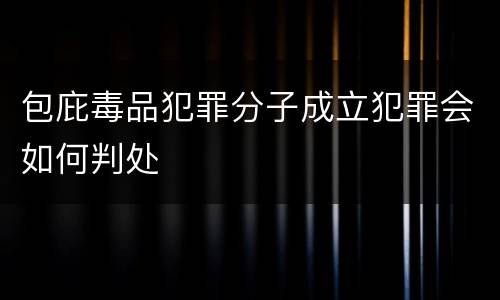 包庇毒品犯罪分子成立犯罪会如何判处