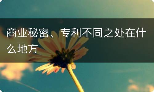 商业秘密、专利不同之处在什么地方
