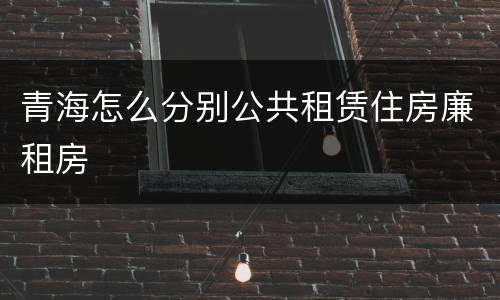 青海怎么分别公共租赁住房廉租房