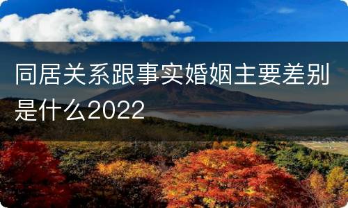 同居关系跟事实婚姻主要差别是什么2022