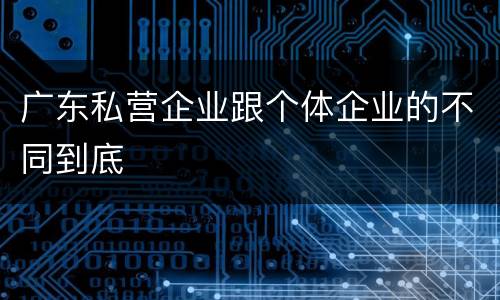 广东私营企业跟个体企业的不同到底