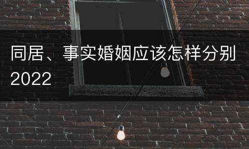 同居、事实婚姻应该怎样分别2022