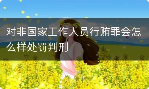 对非国家工作人员行贿罪会怎么样处罚判刑
