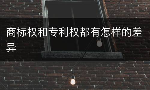 商标权和专利权都有怎样的差异