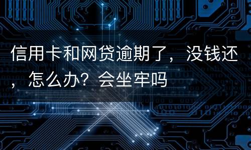 信用卡和网贷逾期了，没钱还，怎么办？会坐牢吗
