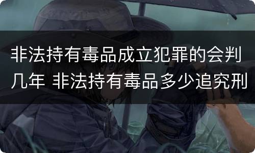 非法持有毒品成立犯罪的会判几年 非法持有毒品多少追究刑事责任