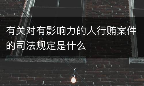 有关对有影响力的人行贿案件的司法规定是什么