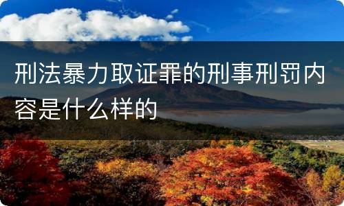 刑法暴力取证罪的刑事刑罚内容是什么样的