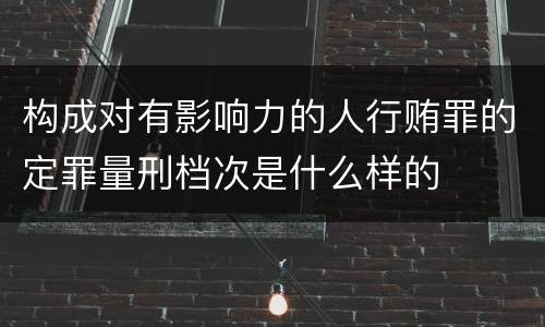 构成对有影响力的人行贿罪的定罪量刑档次是什么样的