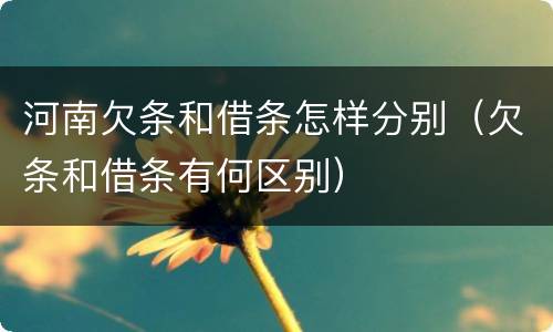 河南欠条和借条怎样分别（欠条和借条有何区别）