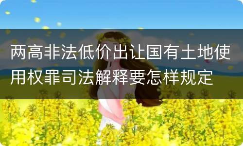 两高非法低价出让国有土地使用权罪司法解释要怎样规定