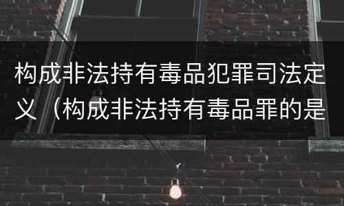 构成非法持有毒品犯罪司法定义（构成非法持有毒品罪的是）