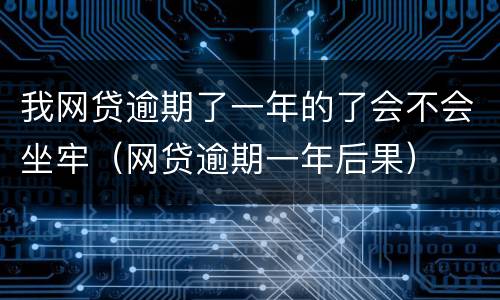 我网贷逾期了一年的了会不会坐牢（网贷逾期一年后果）