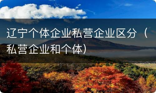 辽宁个体企业私营企业区分（私营企业和个体）