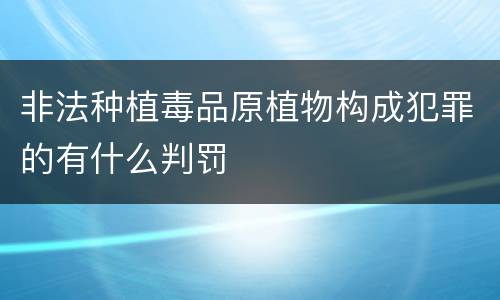 非法种植毒品原植物构成犯罪的有什么判罚