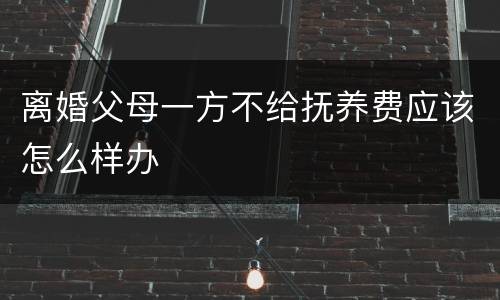 离婚父母一方不给抚养费应该怎么样办