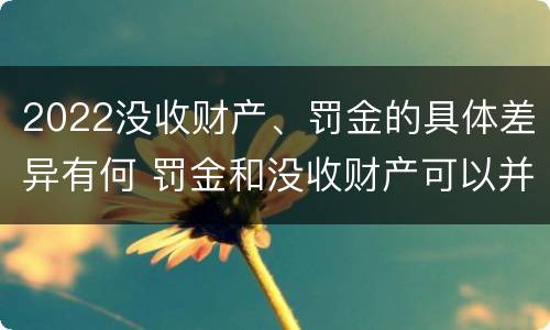 2022没收财产、罚金的具体差异有何 罚金和没收财产可以并处吗