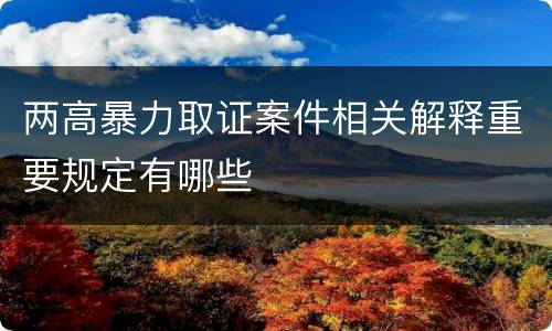 两高暴力取证案件相关解释重要规定有哪些