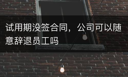 试用期没签合同，公司可以随意辞退员工吗