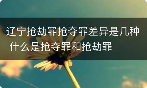 辽宁抢劫罪抢夺罪差异是几种 什么是抢夺罪和抢劫罪