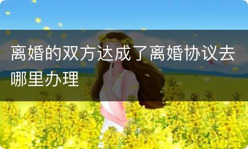 离婚的双方达成了离婚协议去哪里办理