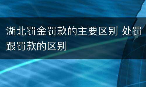 湖北罚金罚款的主要区别 处罚跟罚款的区别