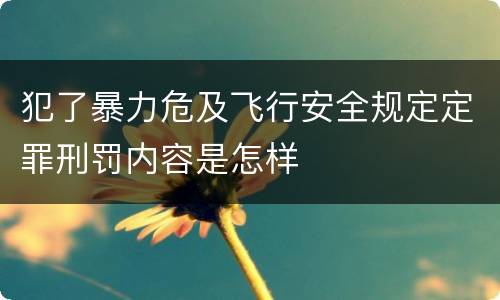 犯了暴力危及飞行安全规定定罪刑罚内容是怎样