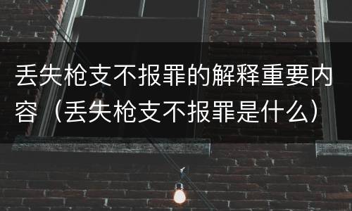 丢失枪支不报罪的解释重要内容（丢失枪支不报罪是什么）
