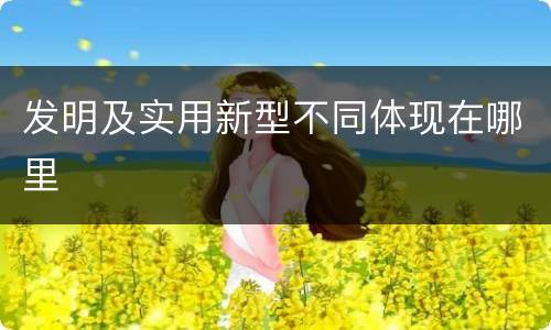 发明及实用新型不同体现在哪里