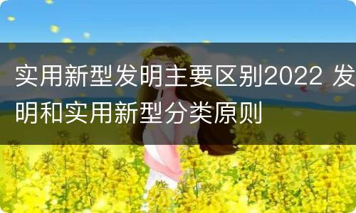 实用新型发明主要区别2022 发明和实用新型分类原则