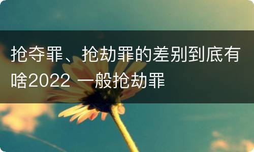 抢夺罪、抢劫罪的差别到底有啥2022 一般抢劫罪