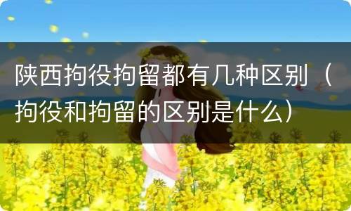 陕西拘役拘留都有几种区别（拘役和拘留的区别是什么）