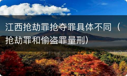 江西抢劫罪抢夺罪具体不同（抢劫罪和偷盗罪量刑）