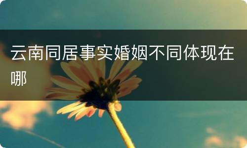 云南同居事实婚姻不同体现在哪