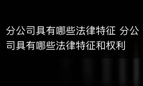 分公司具有哪些法律特征 分公司具有哪些法律特征和权利