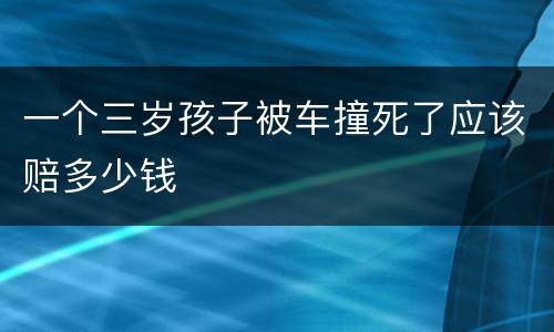一个三岁孩子被车撞死了应该赔多少钱