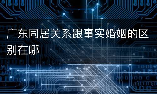 广东同居关系跟事实婚姻的区别在哪