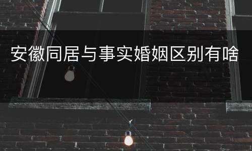 安徽同居与事实婚姻区别有啥