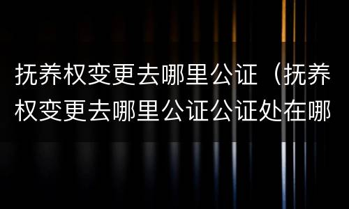 抚养权变更去哪里公证（抚养权变更去哪里公证公证处在哪）