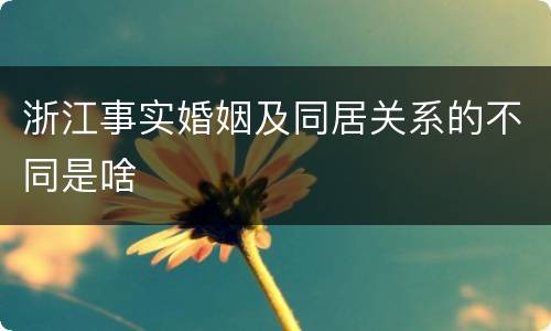 浙江事实婚姻及同居关系的不同是啥