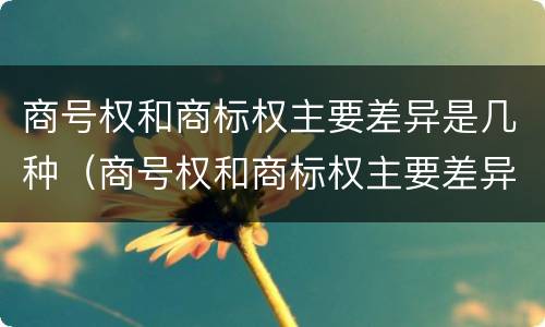 商号权和商标权主要差异是几种（商号权和商标权主要差异是几种商品）
