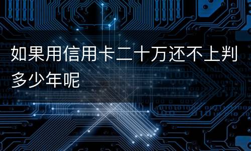 如果用信用卡二十万还不上判多少年呢