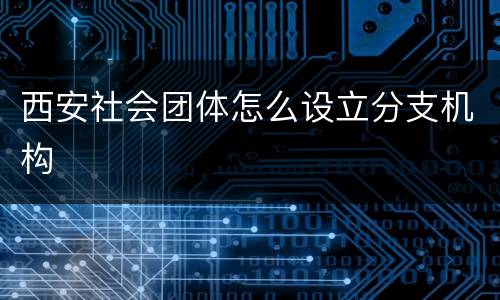 西安社会团体怎么设立分支机构