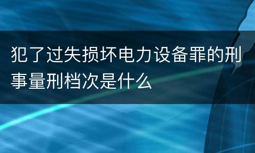 犯了过失损坏电力设备罪的刑事量刑档次是什么