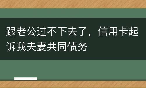 跟老公过不下去了，信用卡起诉我夫妻共同债务