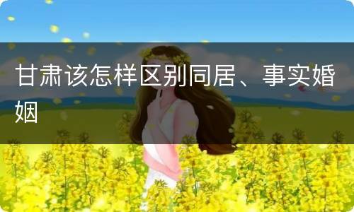 甘肃该怎样区别同居、事实婚姻